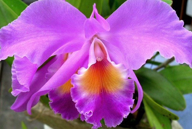 Tanya Jawab Ringkas – Seputar Pernikahan