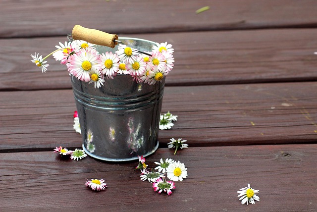 Orang Tua Melarangku Menikahi Wanita Pilihanku