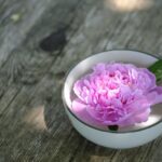 Wanita Menikah Tanpa Izin Wali