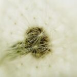 Ternyata Istri Sudah Tidak Perawan