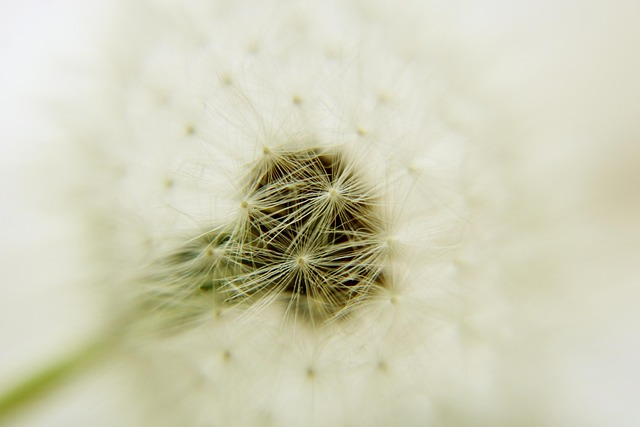 Ternyata Istri Sudah Tidak Perawan