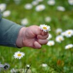 Mengakikahi Anak yang Sudah Meninggal