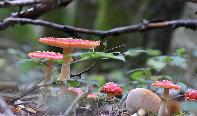 Sampai Kapan Anak Lelaki Dinafkahi?