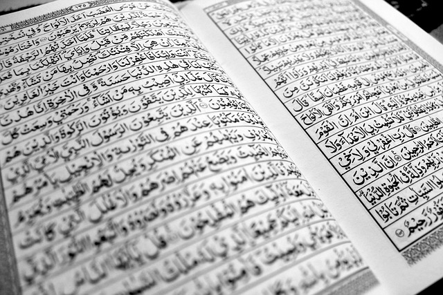 Penggambaran Bidadari Surga dalam Al-Qur’an